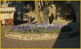 Flowers and Statue